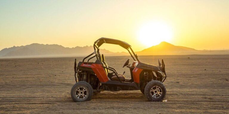 Sharm El-Sheikh: Sunset Buggy Safari and Camel Tour With BBQ
