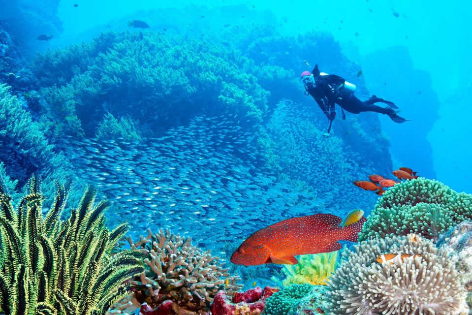 1 sharm el sheikh tiran island cruise tour with intro dive Sharm El Sheikh: Tiran Island Cruise Tour With Intro Dive