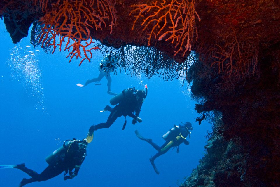 1 sharm el sheikh white island ras mohammed snorkel trip Sharm El-Sheikh: White Island & Ras Mohammed Snorkel Trip