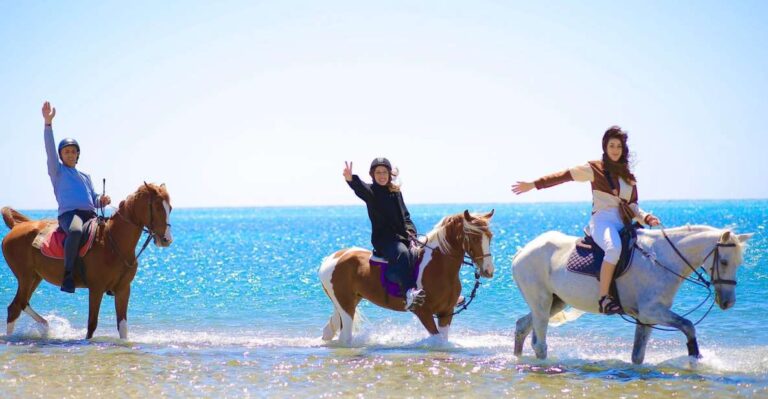 Sharm El Shiekh: Beach and Desert Horse Riding Tour