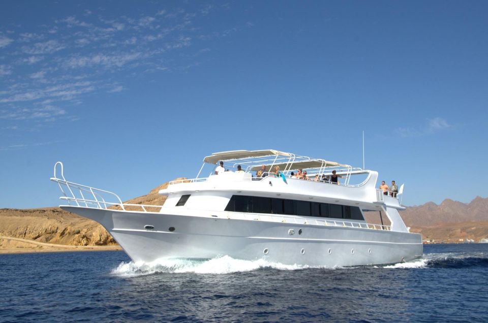 1 sharm white island and ras mohmmed snorkeling cruise Sharm: White Island and Ras Mohmmed Snorkeling Cruise