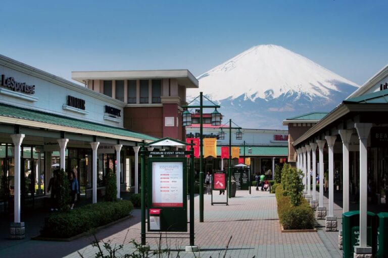 Shinjuku: Mount Fuji Panoramic View and Shopping Day Tour