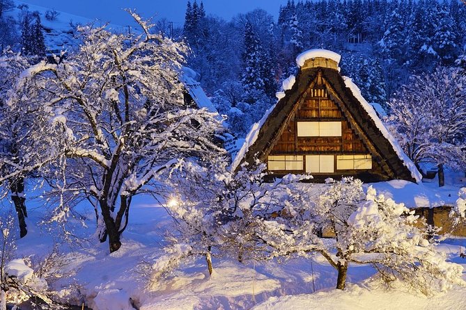 Shirakawago All Must-Sees Private Chauffeur Tour With a Driver (Takayama Dep.)
