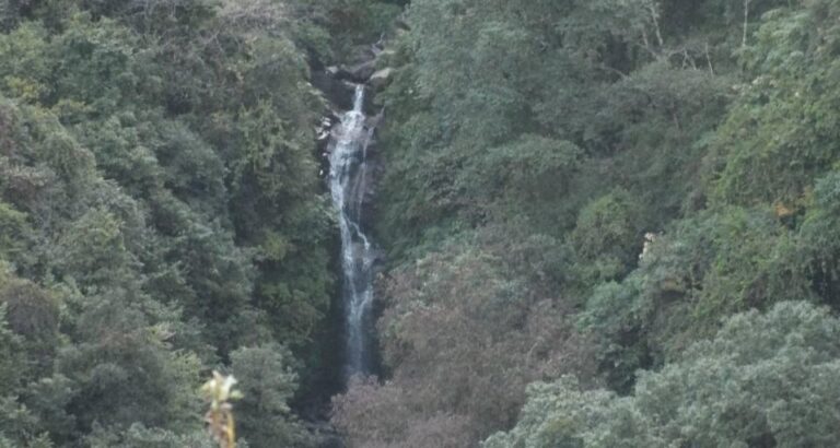 Shivapuri National Park: Peaceful and Silent Hiking