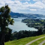 1 shore excursion dunedin city otago peninsula castle gardens olveston tour Shore Excursion: Dunedin City, Otago Peninsula, Castle Gardens & Olveston Tour
