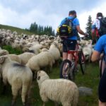 1 sibiu guided highlights e bike tour Sibiu: Guided Highlights E-bike Tour