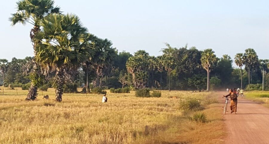 Siem Reap: 3-Hour Ancient Trails Motorbike Tour