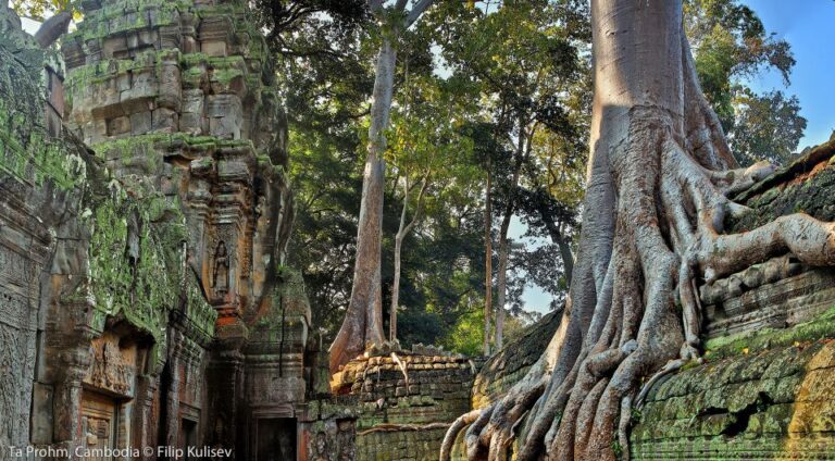 Siem Reap: Angkor Wat 5-Day Sightseeing Tour