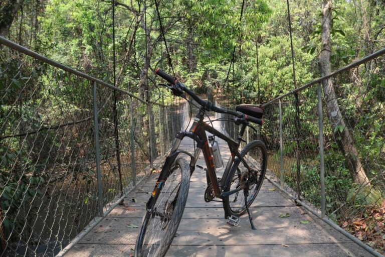 Siem Reap: Bike Rental