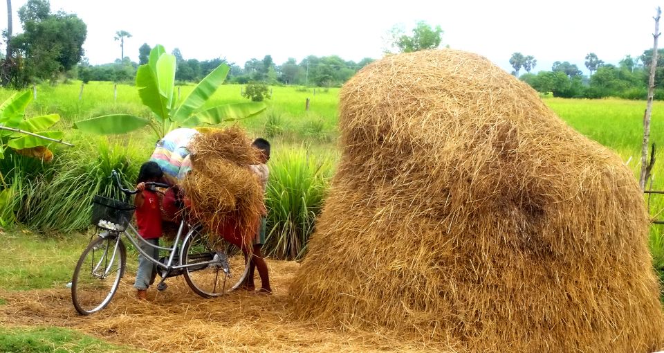 1 siem reap countryside jeep tour Siem Reap: Countryside Jeep Tour