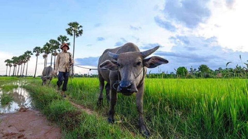 1 siem reap guided countryside sunset tour by jeep Siem Reap: Guided Countryside Sunset Tour by Jeep