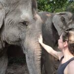 1 siem reap small group tour of kulen elephant forest 3 Siem Reap: Small Group Tour of Kulen Elephant Forest