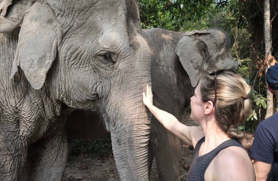 1 siem reap small group tour of kulen elephant forest 3 Siem Reap: Small Group Tour of Kulen Elephant Forest