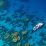 1 silverswift dive snorkel great barrier reef cruise from cairns Silverswift Dive & Snorkel Great Barrier Reef Cruise From Cairns