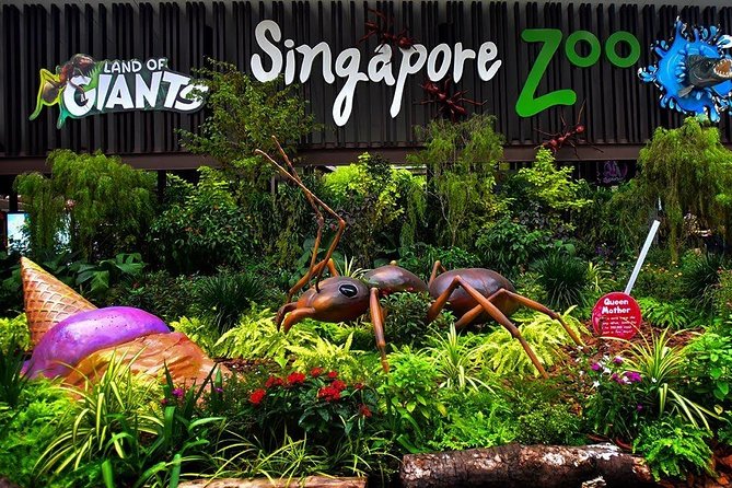 Singapore Bird Paradise & Zoo Full Day (Ticket & Transfer )