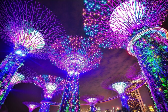 Singapore by Night: Private Guided Tour