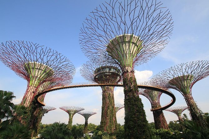 1 singapore gardens by the bay admission e ticket Singapore: Gardens by the Bay Admission E-Ticket