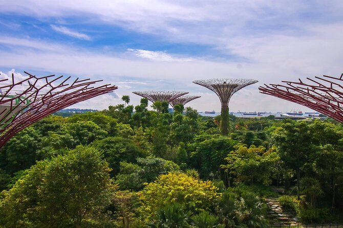 Singapore: Gardens By The Bay Admission Ticket