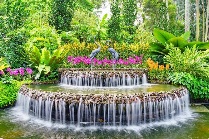 Singapore: National Orchid Garden Admission Ticket