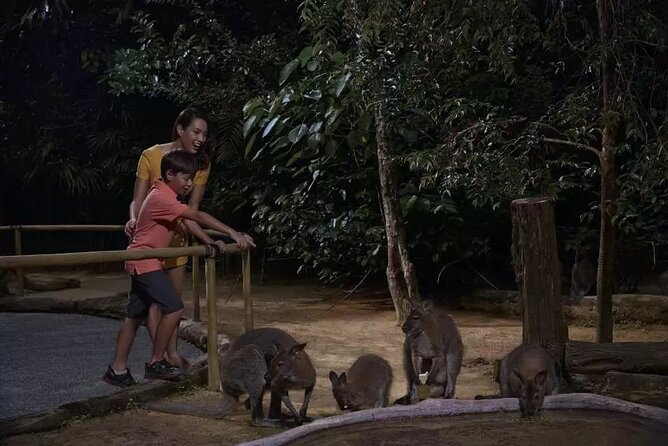Singapore Night Safari Admission ( World’S First Nocturnal Park)