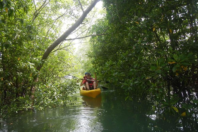 Singapore Paddle to Pedal Adventure in Pulau Ubin