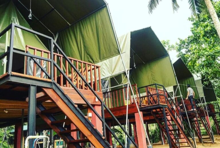 Sinharaja Forest Reserve Glamping With BBQ Night