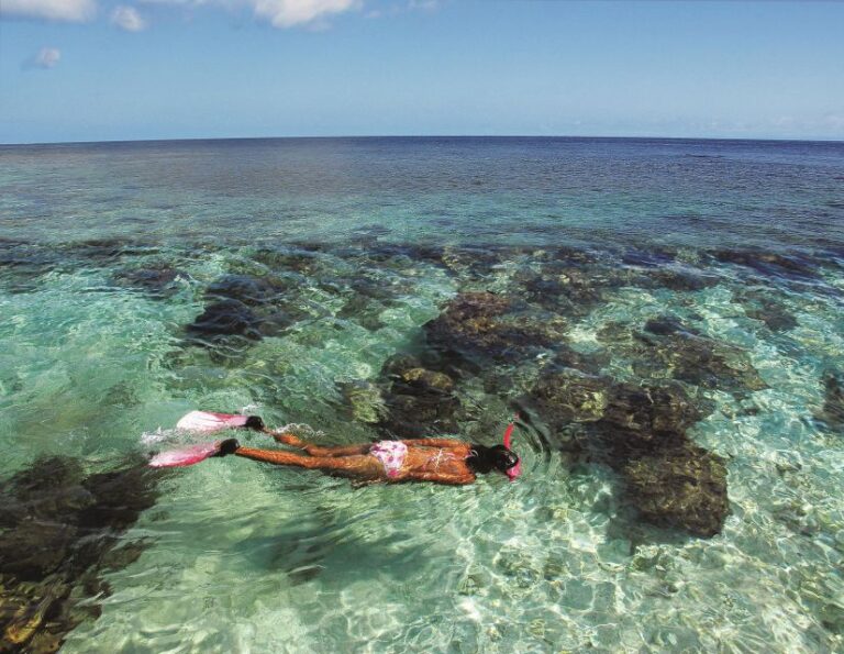 Sint Maarten: Half-Day Snorkeling & Beach Excursion Tour