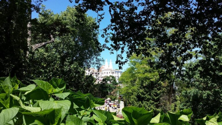 Sintra: Full-Day Tour From Lisbon With Wine Tasting