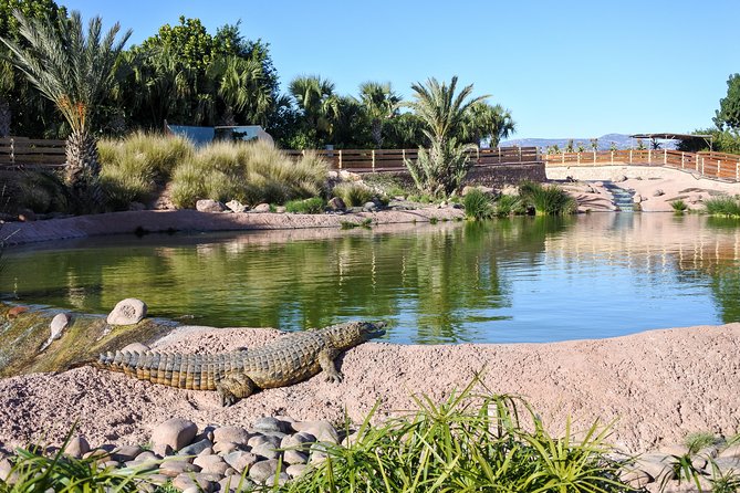 Skip the Line: Crocoparc Admission Ticket
