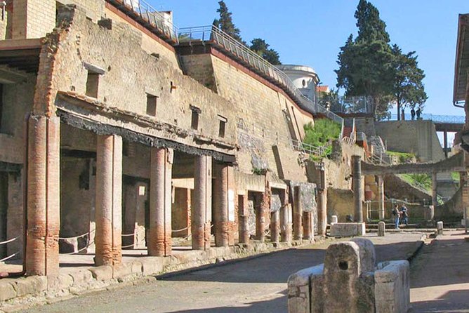 Skip the Line: Herculaneum Ruins Ticket Optional Guided Tour