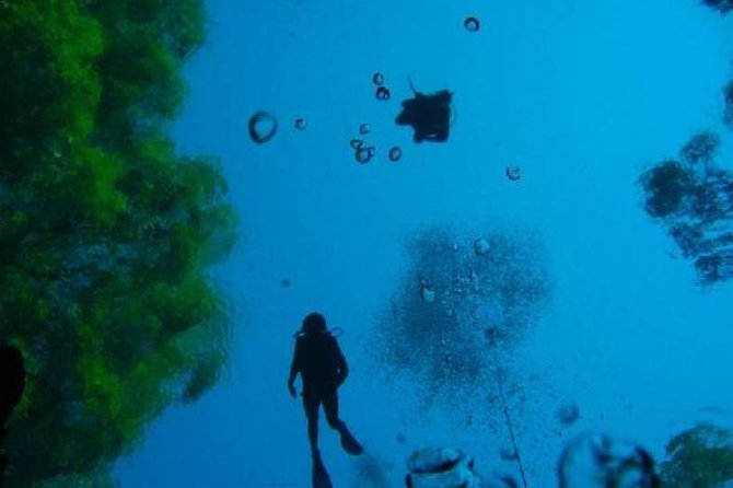 Skip the Line: Lagoa Misteriosa Admission Ticket With Scuba Diving Experience