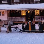 1 sleigh ride w tapas meal experience arctic farm life Sleigh Ride W/ Tapas Meal - Experience Arctic Farm Life