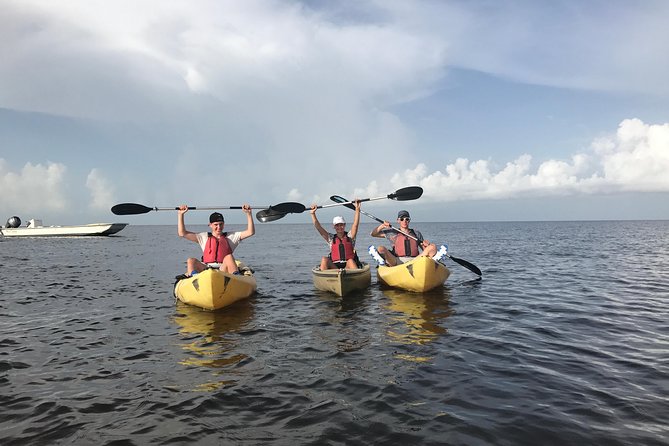 1 small group boat kayak and walking guided eco tour in everglades national park Small Group Boat, Kayak and Walking Guided Eco Tour in Everglades National Park