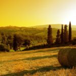 1 small group chianti and san gimignano sunset trip from siena Small-Group Chianti and San Gimignano Sunset Trip From Siena