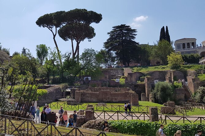 Small Group Colosseum Arena Floor Roman Forum and Palatine Hill