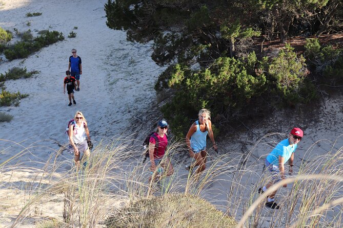 Small-Group Day Tour With Hiking & Swimming, Gulf of Navarino (Mar )