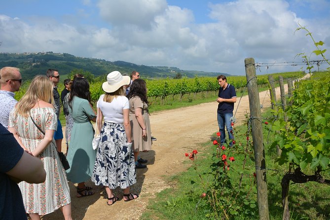 SMALL GROUP Experience Cheese & Chianti Visit Dairy & 3 Wineries