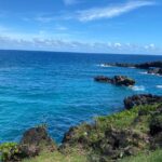 1 small group full day maui nature tour mar Small-Group Full-Day Maui Nature Tour (Mar )