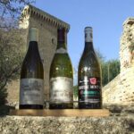 1 small group full day private wine tour from avignon Small-Group Full-Day Private Wine Tour From Avignon