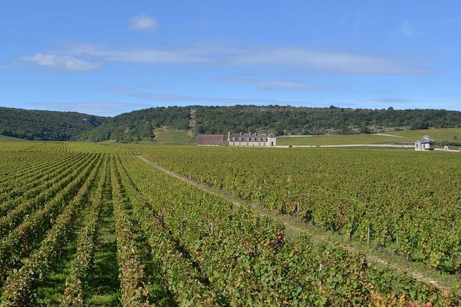 Small-Group Full-Day Tour of Côte De Nuits, Côte De Beaune Vineyards and Beaune Historical District