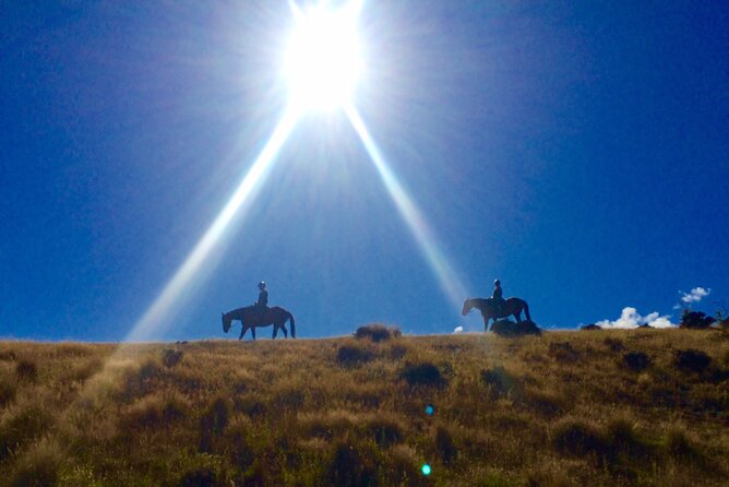 Small-Group Gold Discovery Horse Riding in Cardrona Valley