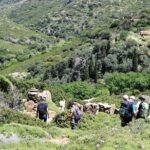 1 small group guided hiking tour in andros with picnic on the beach Small-Group Guided Hiking Tour in Andros With Picnic on the Beach