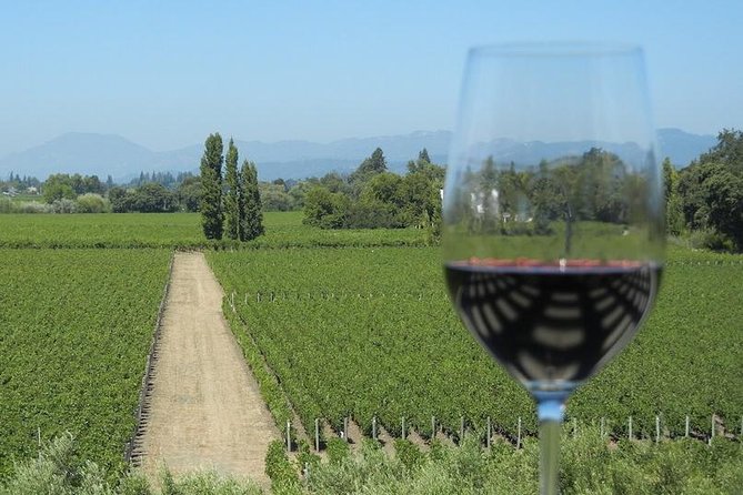 Small-Group Half Day Sonoma Wine Country Tour With Two Tastings