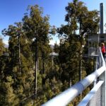 1 small group half day tour to treetop walk and hokitika gorge greymouth Small-Group Half-Day Tour to Treetop Walk and Hokitika Gorge - Greymouth