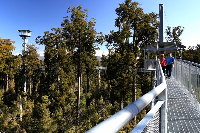 Small-Group Half-Day Tour to Treetop Walk and Hokitika Gorge  – Greymouth