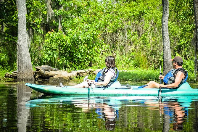 Small-Group Manchac Magic Kayak Swamp Tour With Local Guide