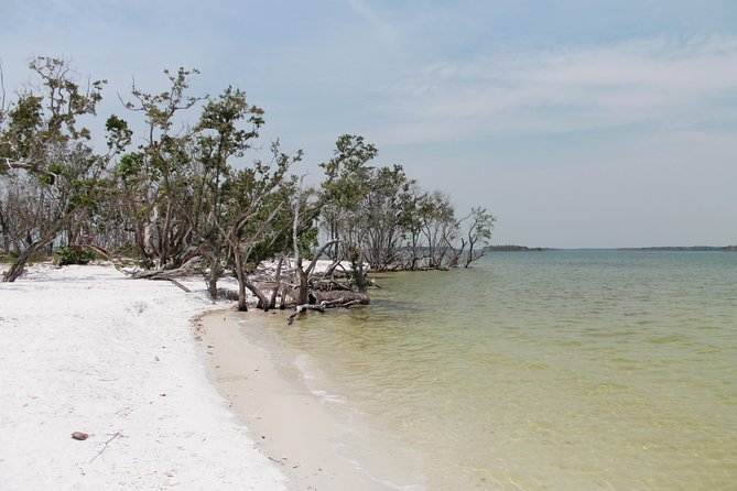 Small Group Motorboat Eco Tour of the Everglades