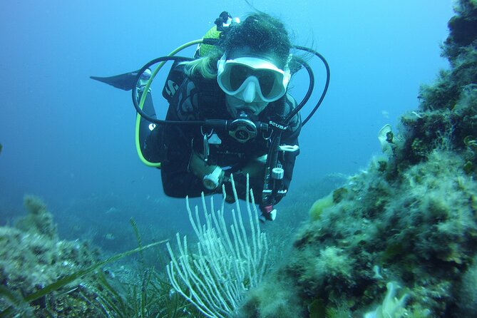 Small-Group Scuba Diving Eco Tour in the North of Menorca (Mar )