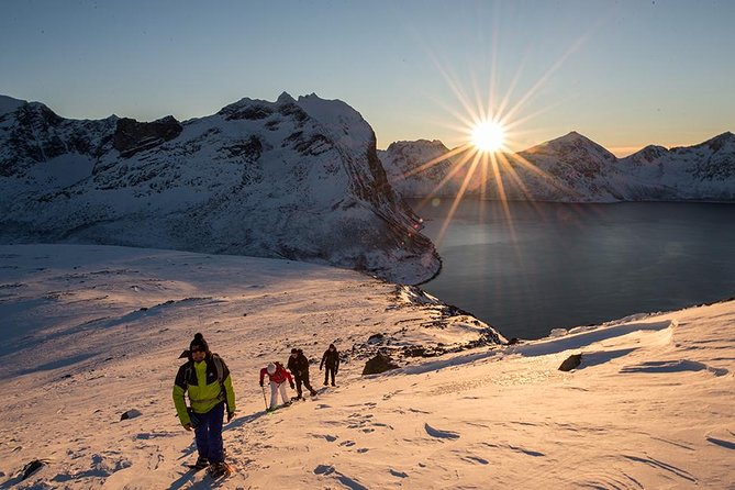 1 small group snowshoeing tour from tromso Small-Group Snowshoeing Tour From Tromso