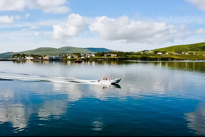 Small-Group Valentia Harbour Boat Tour in Ireland (Mar )